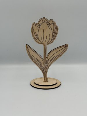 Tulipan 0002
